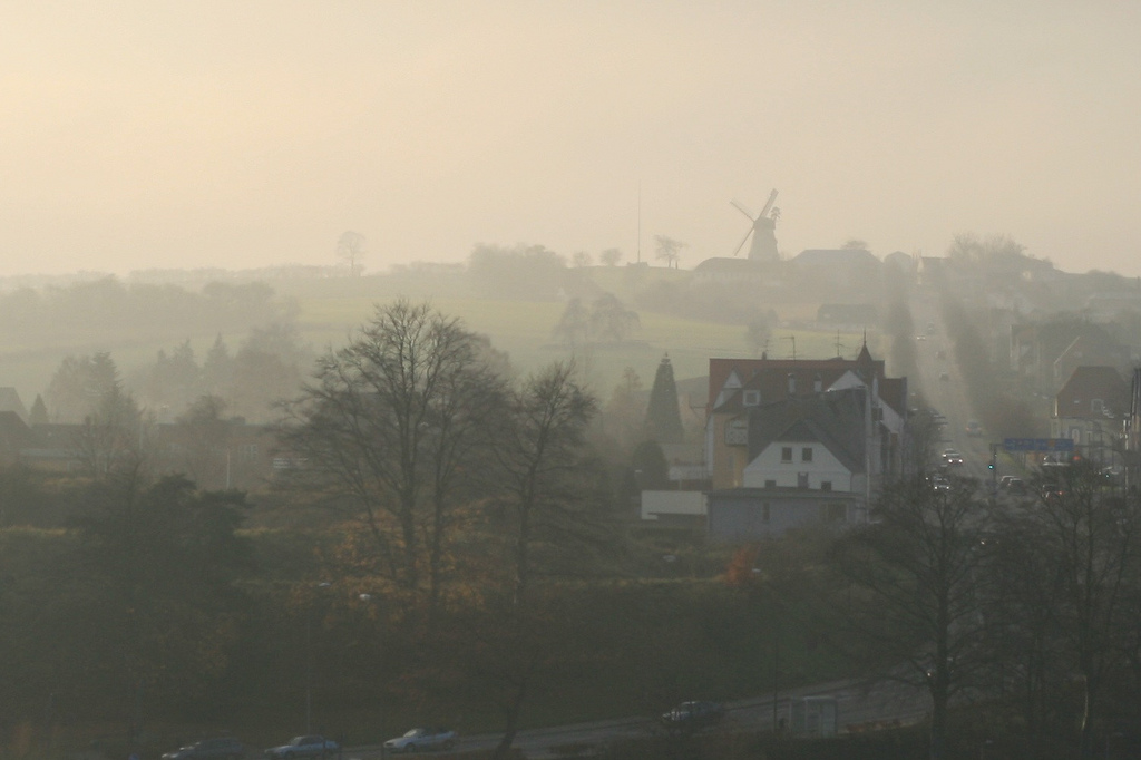 Dybbol molle in the fog