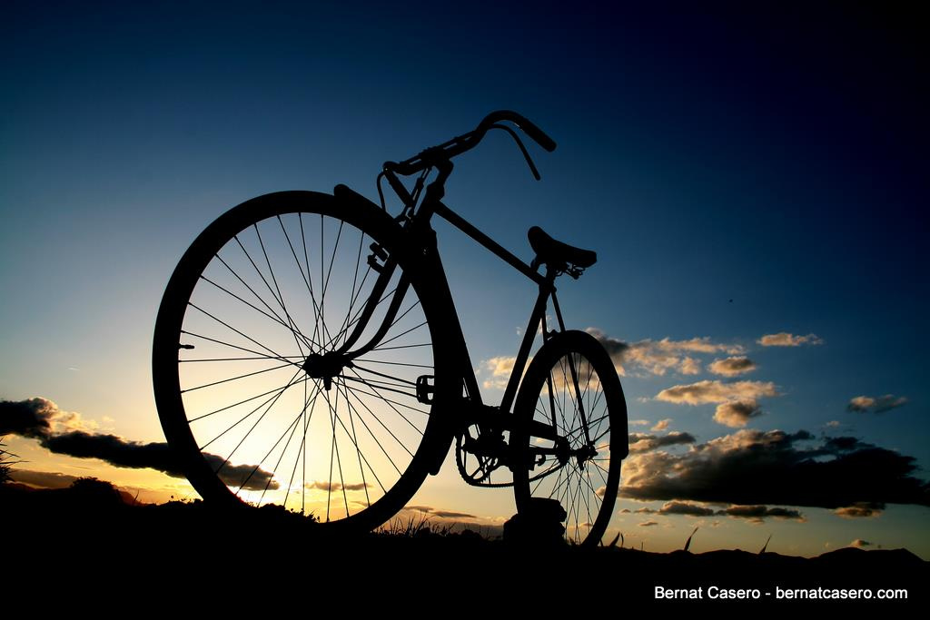 Bike on Motorway: Sonderborg - Kliplev